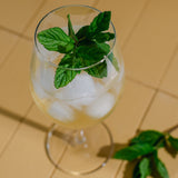 B/a kokteiļa Hugo Spritz komplekts