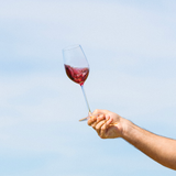 Divin Vigneron Pinot Noir